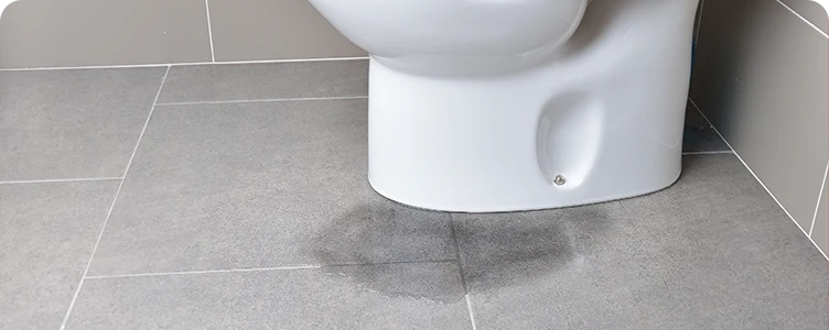 トイレの水漏れ